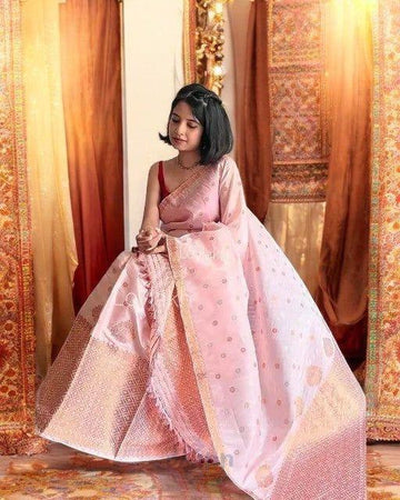 Stunning light pink Georgette Saree with Gold Detailing