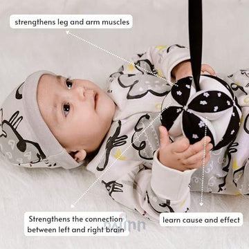 DaJinn Newborn Baby Rattle Clutch Ball | Hanging Toy Crib, Stroller, Car Seat | Montessori, Teething Safe | Soft, Black & White | Infant Development | Baby Shower Gift | 0,1,2,3,6 Months to 1 Year