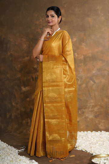 AYSR Boutique Amrapali Tissue Silk Saree