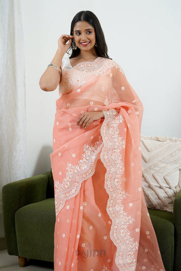AYSR Boutique Ridhushni Embroidered Organza Saree